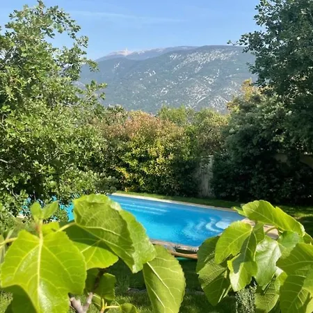 Face Au Mont Ventoux *